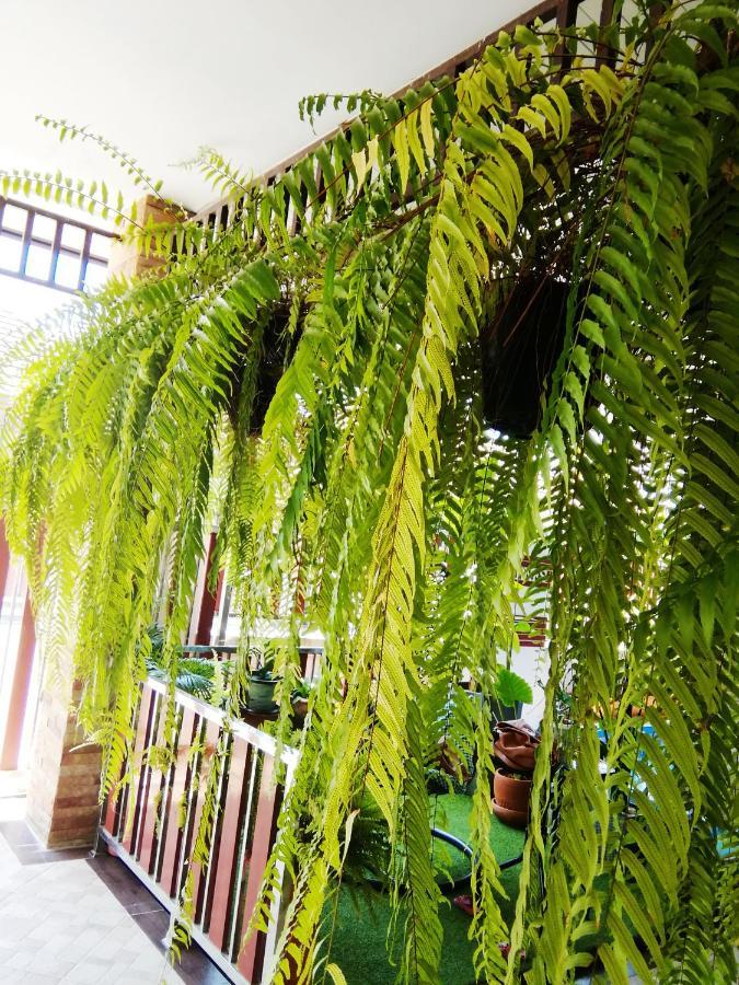 Wilderness Bed & Breakfast Ban Chang  Ngoại thất bức ảnh